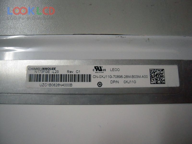 N173FGE-L23